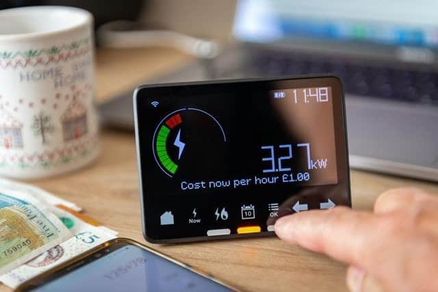"The substantial rise in smart meter interest underscores a growing awareness about energy consumption."