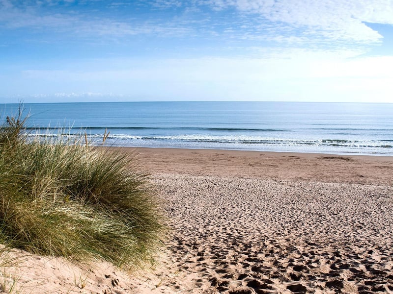 Lunan Bay is located on the dramatic Angus coastline. It is popular with surfers and horse riders, as well as those looking to try their luck at a spot of fishing. This beach is steeped in history, with its visitors including Viking armies in the tenth century (4,400 searches)