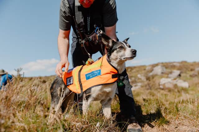 Scottish Search and Rescue Dogs in the heart of Glencoe