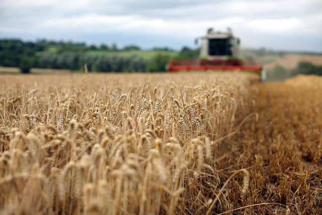 Food production is a major source of greenhouse gas emissions, something that was finally recognised at the COP28 climate summit (Picture: Christopher Furlong/Getty Images)