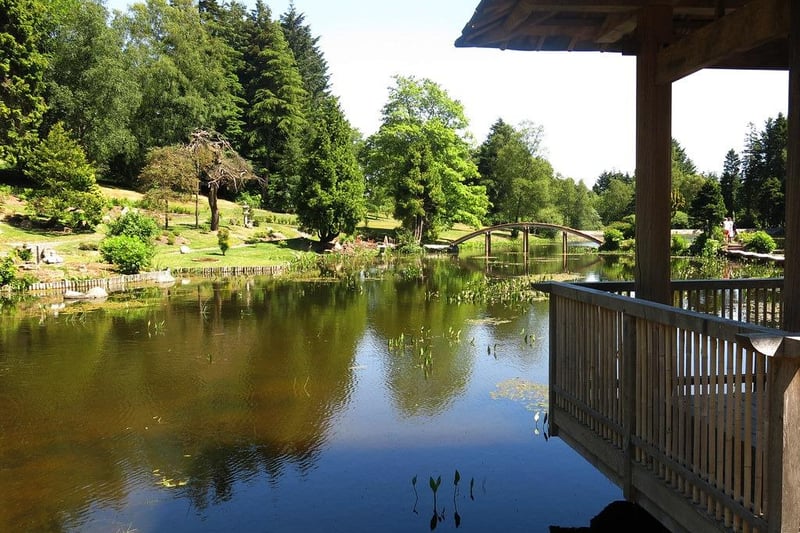 This Taki Handa designed garden is a real place of peace and tranquillity. Based in Dollar, Clackmannansire, our readers commended its outstanding beauty.