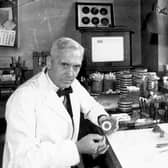 Scottish bacteriologist Alexander Fleming (1881-1955) in his laboratory at St Mary's Hospital in London in 1943 (Picture: Davies/Keystone/Hulton Archive/Getty Images)