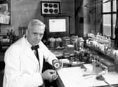Scottish bacteriologist Alexander Fleming (1881-1955) in his laboratory at St Mary's Hospital in London in 1943 (Picture: Davies/Keystone/Hulton Archive/Getty Images)