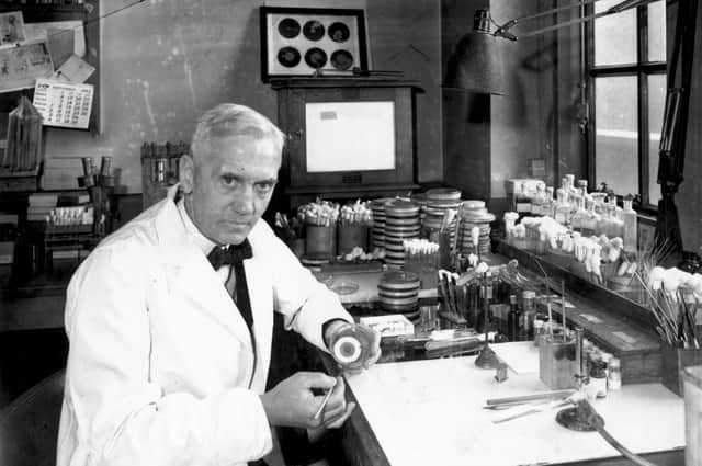 Scottish bacteriologist Alexander Fleming (1881-1955) in his laboratory at St Mary's Hospital in London in 1943 (Picture: Davies/Keystone/Hulton Archive/Getty Images)