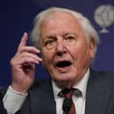 Sir David Attenborough. Picture: PA