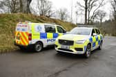 Callendar Park was closed to the public for over an hour. Pic: Michael Gillen
