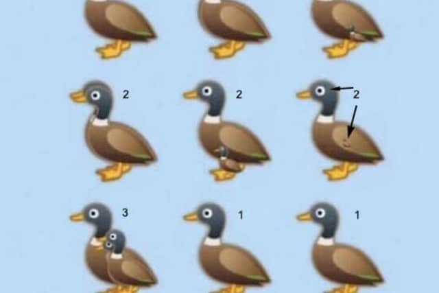 In total, you should be able to see 16 ducks in the picture (Photo: GadgetGrasp)