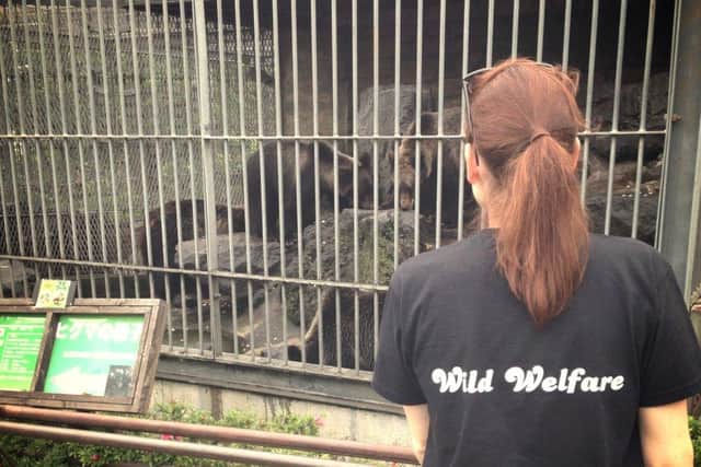 Monitoring captive bears in Japan