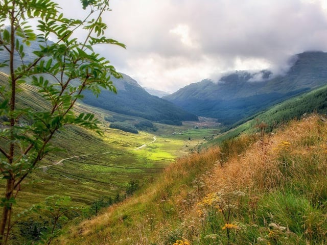 Located on the Cowal peninsula in Argyll and Bute, Argyll Forest Park offers 210 square kilometres of woodland and walks. Established in 1935, it was the first forest park to be created in the UK and stretches from the Holy Loch in the south to the Arrochar Alps in the north.