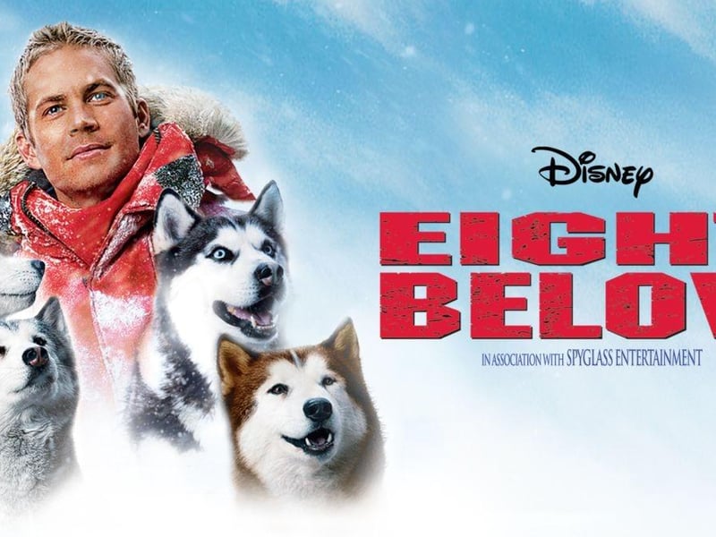 This heartwarming tale stars Paul Walker as an Antarctica research base who risks everything in order to save his beloved dogs.