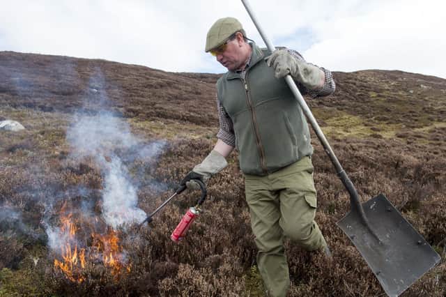 Dunmaglass Estate head keeper Iain Hepburn carries out a controlled burn on heather (Picture: Trevor Martin)