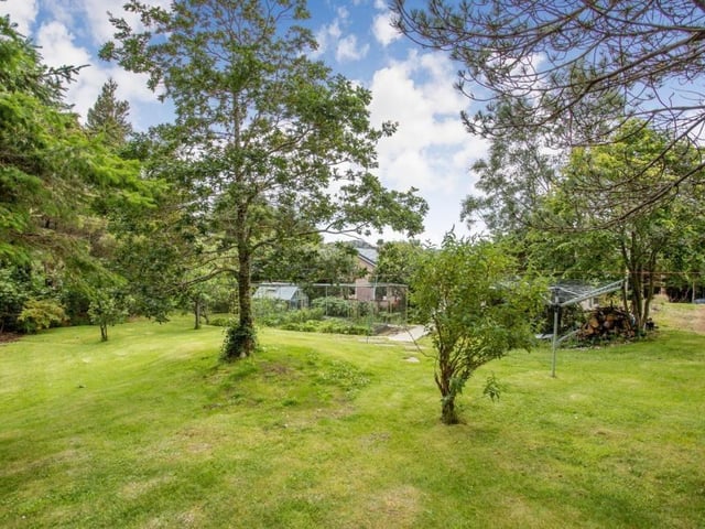 Garden.