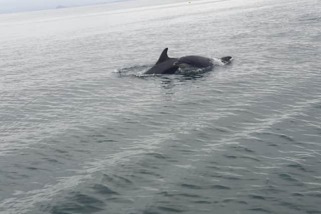 These incredible pictures were taken by teacher Eddie White while he was in Fife with his family.