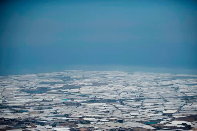 There are so many greenhouses in El Ejido that they can be seen from space (Picture: Jorge Guerrero/AFP via Getty Images)