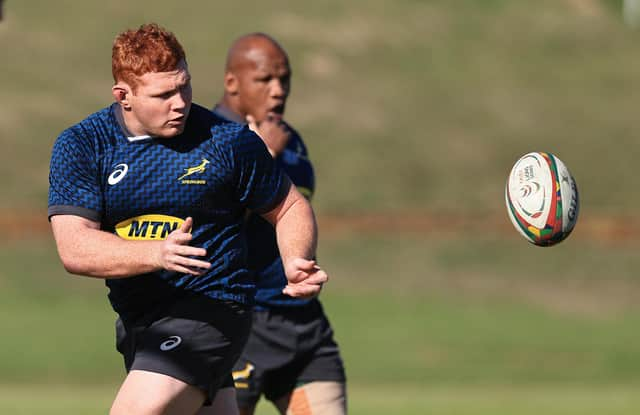 Steven Kitshoff has been picked to start against the Lions in the second Test and will win his 50th cap for South Africa. Picture: David Rogers/Getty Images