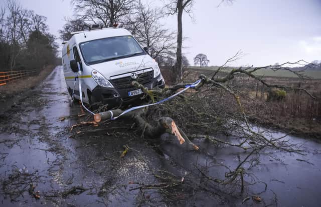 Storm Isha caused widespread damage across Scotland, including near Armadale in West Lothian, where a van was struck by a falling tree. Picture: Lisa Ferguson