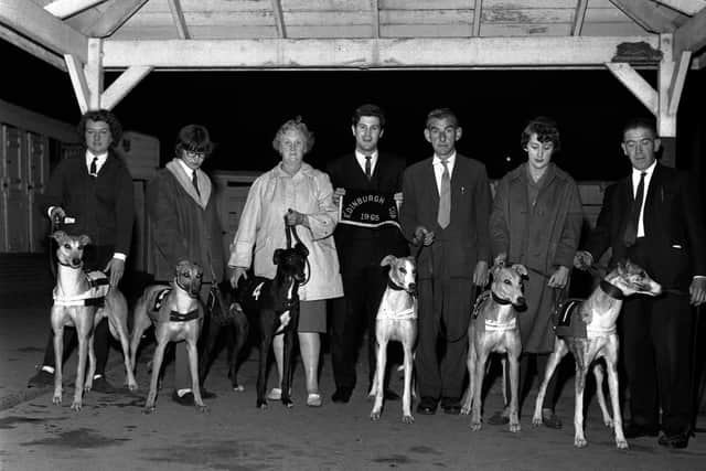 Dog Racing at Powderhall for the 1965 Edinburgh Cup  Pic by: Joe Steele