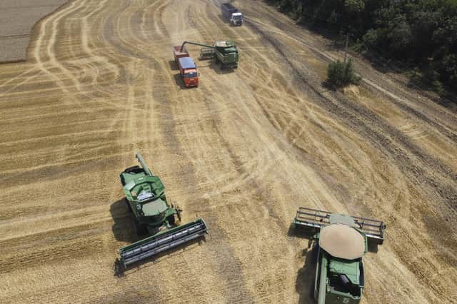 Farmers harvest with their combines in a wheat field near the village Tbilisskaya, Russia