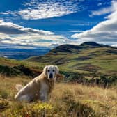 Marty loves nothing better than a day out in the hills
Pic: VSS