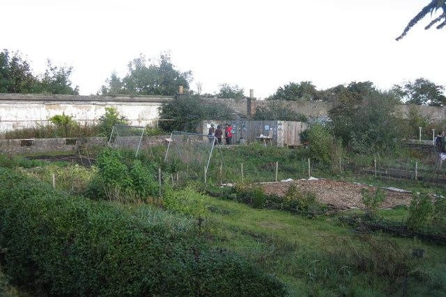 While the main structure was demolished in 1928 for quarrying, the remains of 15th century Granton Castle are still visible. The medieval walled garden is now in council ownership and is tended to by a group of volunteers.