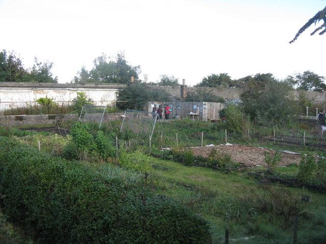 While the main structure was demolished in 1928 for quarrying, the remains of 15th century Granton Castle are still visible. The medieval walled garden is now in council ownership and is tended to by a group of volunteers.