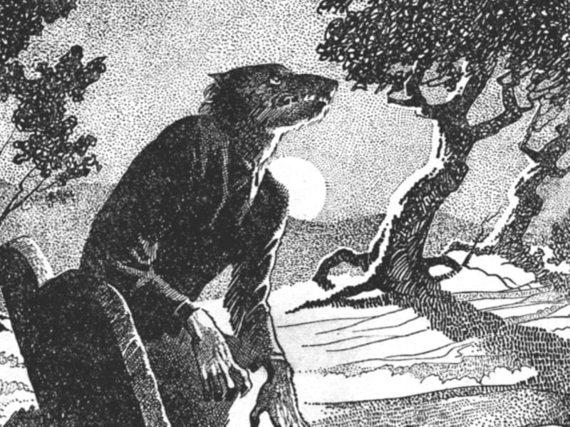 The Wulver is a humanoid wolf creature connected to the folklore of Shetland. Unlike the typical ferocity associated with werewolves, the Wulver was a benevolent creature, known to help the downtrodden. Often seen fishing, the Wulver would place free fish on the windowsills of poor families to save them from starvation. Unlike werewolves, the Wulver was never human to begin with, according to the ancient Celts. They believed he evolved from wolves, and represented an in-between stage of evolution between wolf and man.