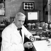Alexander Fleming's discovery of penicillin revolutionised medicine. The world must act to ensure antibiotics remain effective (Picture: Davies/Keystone/Hulton Archive/Getty Images)