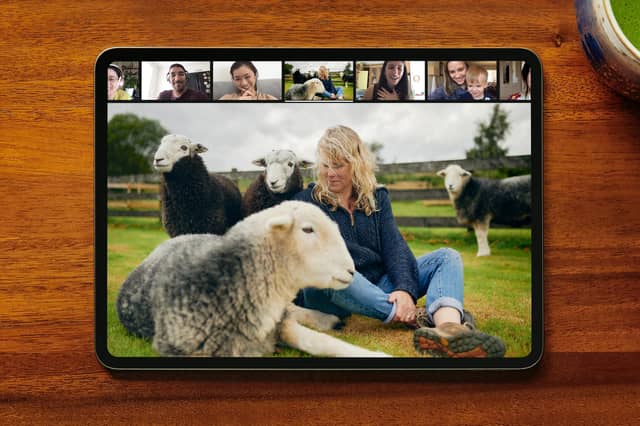 Beccy Routledge and her pet sheep are providing solace during lockdown, with guests from around the world logging on for a virtual meet and greet.