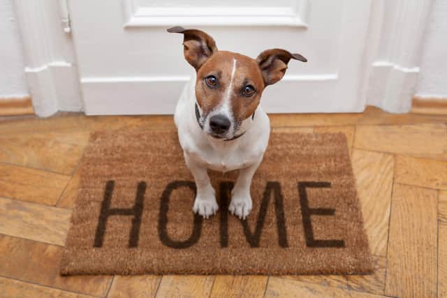More renters could be allowed pets if the Renters (Reform) Bill is passed