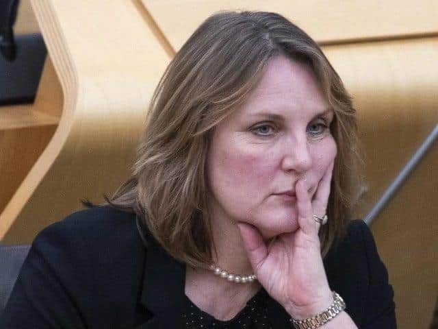 Michelle Ballantyne says a referendum will "deliver chaos"