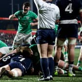 Ireland's James McKillop celebrates after Evan O'Connell scored their team's second try.