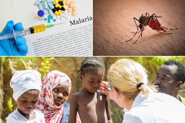 The team at GSK has been working on this vaccine for 30 years. Photo: Avater_023 / Getty Images / Canva Pro. frank600 / Getty Images / Canva Pro. jarun011 / Getty Images / Canva Pro.