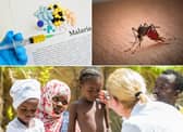 The team at GSK has been working on this vaccine for 30 years. Photo: Avater_023 / Getty Images / Canva Pro. frank600 / Getty Images / Canva Pro. jarun011 / Getty Images / Canva Pro.