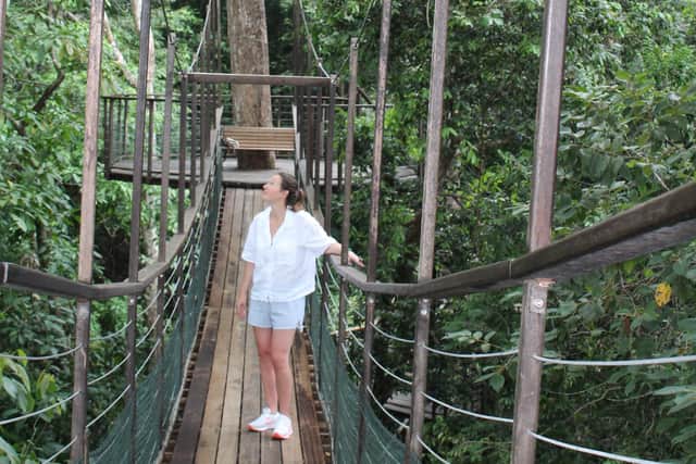 A Canopy Walk at the Datai Langkawi resort. Pic: Josie Clarke/PA.