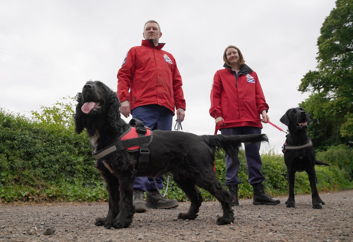 Ukraine war: Dog search team steps up training ahead deployment to find bodies
