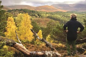 Wildfire risk is increasing, with climate modelling showing a predicted increase in drought periods Picture: CNPA