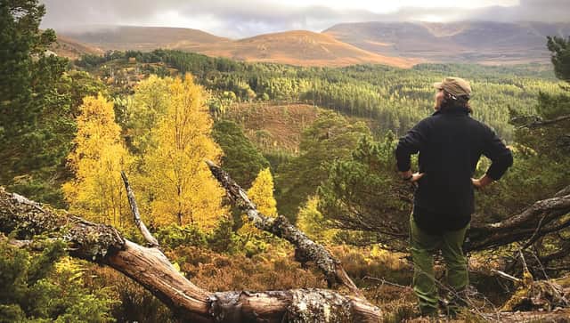 Wildfire risk is increasing, with climate modelling showing a predicted increase in drought periods Picture: CNPA