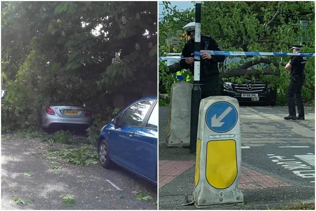A number of trees have come crashing down in high winds across the capital today.