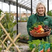 August’s Grow How sessions will cover the topic of allotment gardening.