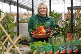 August’s Grow How sessions will cover the topic of allotment gardening.