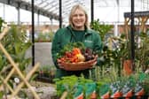 August’s Grow How sessions will cover the topic of allotment gardening.