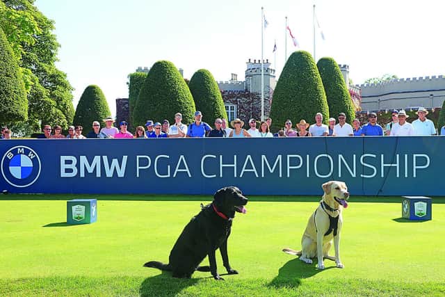 Mabel and Olive at the BMW PGA Championship at Wentworth Golf Club in 2021 in Virginia Water, England. (Photo by Andrew Redington/Getty Images)