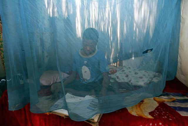 A child sits under a mosquito net in his home in the town Xai Xai in Mozambique (Picture: Alexander Joe/AFP via Getty Images)