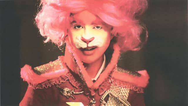 The Lion by Rachel Maclean is available for £475.