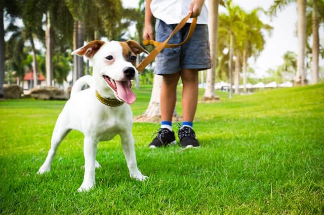 This is what you need to know about walking your dog during the lockdown (Photo: Shutterstock)