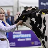 Royal Highland Show 2024
