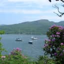 View of the sailing waters of the Kyles of Bute from the Cowal Way. Picture: James McLuckie