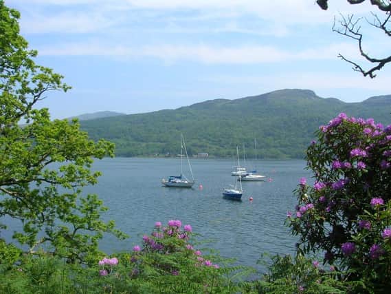 View of the sailing waters of the Kyles of Bute from the Cowal Way. Picture: James McLuckie