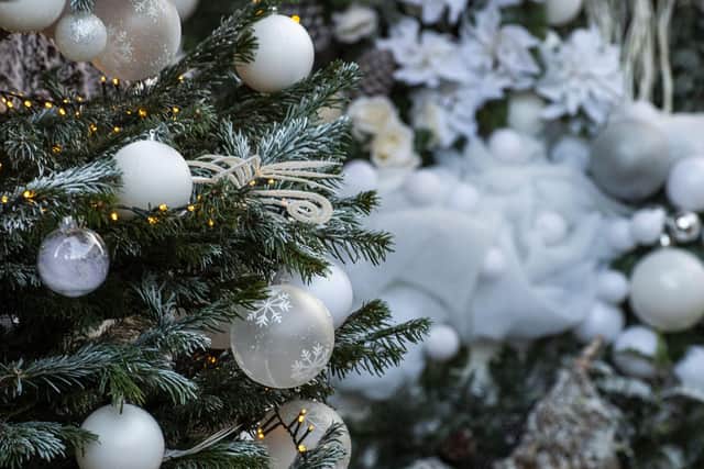 Christmas tree picture: JPI Media/Lisa Ferguson