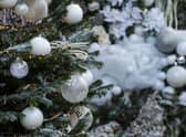 Christmas tree picture: JPI Media/Lisa Ferguson